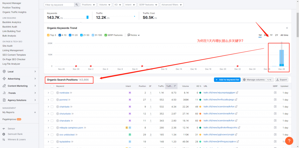 SEMrush-Keywords-for-Spam